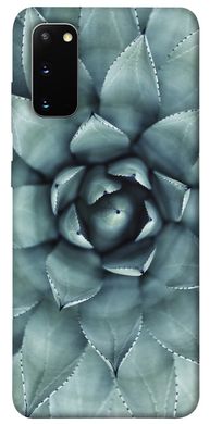Чехол для Samsung Galaxy S20 PandaPrint Суккуленты цветы