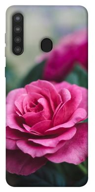 Чехол для Samsung Galaxy A21 PandaPrint Роза в саду цветы