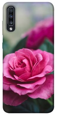 Чохол для Samsung Galaxy A70 (A705F) PandaPrint Роза в саду квіти