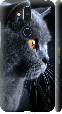 Чехол на Nokia 8.1 Красивый кот 3038m-1620