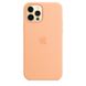 Чехол для Apple iPhone 16 Pro Silicone Case Full / закрытый низ Оранжевый / Cantaloupe