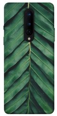 Чехол для OnePlus 8 PandaPrint Пальмовый лист цветы