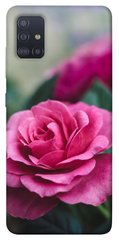 Чехол для Samsung Galaxy M51 PandaPrint Роза в саду цветы