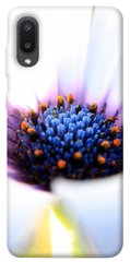 Чехол для Samsung Galaxy A02 PandaPrint Полевой цветок цветы