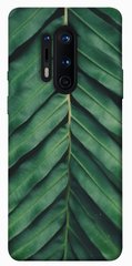 Чохол для OnePlus 8 Pro PandaPrint Пальмовий лист квіти