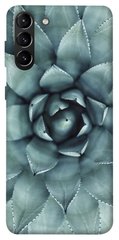 Чехол для Samsung Galaxy S21+ PandaPrint Суккуленты цветы
