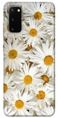 Чехол для Samsung Galaxy S20 PandaPrint Ромашки цветы