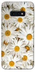 Чехол для Samsung Galaxy S10e PandaPrint Ромашки цветы