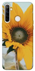Чохол для Realme 6i PandaPrint Соняшник квіти