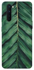 Чехол для OnePlus Nord PandaPrint Пальмовый лист цветы