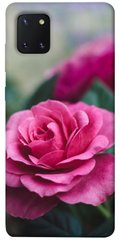 Чехол для Samsung Galaxy Note 10 Lite (A81) PandaPrint Роза в саду цветы