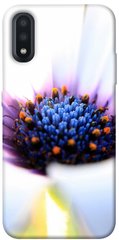 Чехол для Samsung Galaxy A01 PandaPrint Полевой цветок цветы