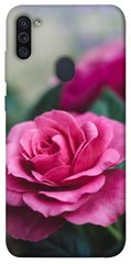 Чехол для Samsung Galaxy M11 PandaPrint Роза в саду цветы
