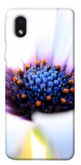 Чехол для Samsung Galaxy M01 Core / A01 Core PandaPrint Полевой цветок цветы