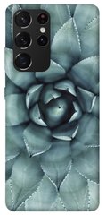 Чехол для Samsung Galaxy S21 Ultra PandaPrint Суккуленты цветы
