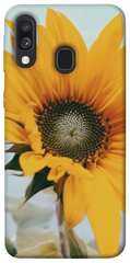 Чохол для Samsung Galaxy A40 (A405F) PandaPrint Соняшник квіти