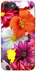 Чехол для Apple iPhone 7 / 8 (4.7"") PandaPrint Бархатный сезон цветы