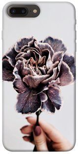 Чохол для Apple iPhone 7 plus / 8 plus (5.5 "") PandaPrint Гвоздика квіти