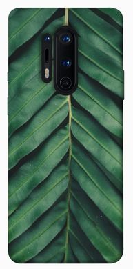 Чехол для OnePlus 8 Pro PandaPrint Пальмовый лист цветы