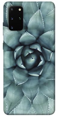 Чехол для Samsung Galaxy S20+ PandaPrint Суккуленты цветы
