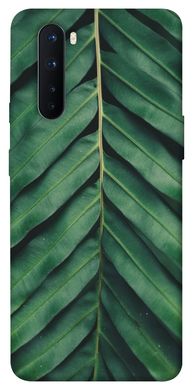Чехол для OnePlus Nord PandaPrint Пальмовый лист цветы