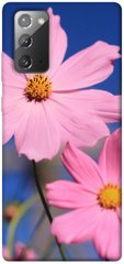 Чохол для Samsung Galaxy Note 20 PandaPrint Рожева ромашка квіти