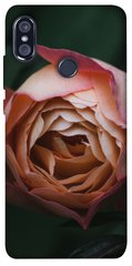 Чехол для Xiaomi Redmi Note 5 Pro PandaPrint Роза остин цветы
