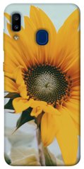 Чохол для Samsung Galaxy A20 / A30 PandaPrint Соняшник квіти