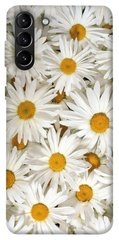 Чохол для Samsung Galaxy S21 + PandaPrint Ромашки квіти