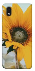 Чехол для Samsung Galaxy M01 Core / A01 Core PandaPrint Подсолнух цветы
