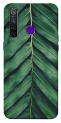 Чехол для Realme 5 Pro PandaPrint Пальмовый лист цветы