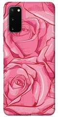 Чохол для Samsung Galaxy S20 PandaPrint Троянди олівцем квіти