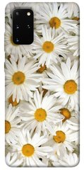 Чохол для Samsung Galaxy S20 + PandaPrint Ромашки квіти