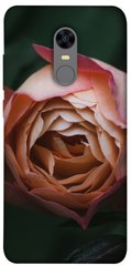 Чехол для Xiaomi Redmi 5 Plus PandaPrint Роза остин цветы