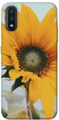 Чехол для Samsung Galaxy A01 PandaPrint Подсолнух цветы