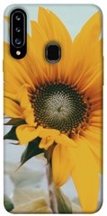 Чехол для Samsung Galaxy A20s PandaPrint Подсолнух цветы
