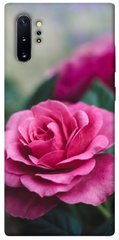Чехол для Samsung Galaxy Note 10 Plus PandaPrint Роза в саду цветы
