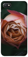 Чехол для Xiaomi Redmi 6A PandaPrint Роза остин цветы