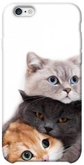Чехол для Apple iPhone 6/6s (4.7"") PandaPrint Три кота животные