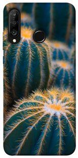 Чехол для Huawei P30 lite PandaPrint Кактусы цветы