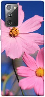 Чехол для Samsung Galaxy Note 20 PandaPrint Розовая ромашка цветы