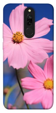 Чохол для Xiaomi Redmi 8 PandaPrint Рожева ромашка квіти