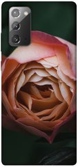 Чехол для Samsung Galaxy Note 20 PandaPrint Роза остин цветы