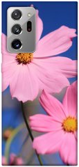Чохол для Samsung Galaxy Note 20 Ultra PandaPrint Рожева ромашка квіти