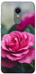 Чехол для Xiaomi Redmi 5 Plus PandaPrint Роза в саду цветы