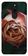 Чохол для Xiaomi Redmi 8 PandaPrint Роза Остін квіти