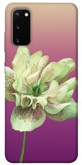 Чехол для Samsung Galaxy S20 PandaPrint Розовый пурпур цветы