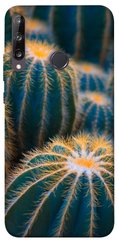 Чехол для Huawei P40 Lite E / Y7p (2020) PandaPrint Кактусы цветы