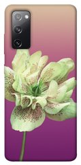 Чехол для Samsung Galaxy S20 FE PandaPrint Розовый пурпур цветы