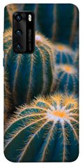 Чехол для Huawei P40 PandaPrint Кактусы цветы